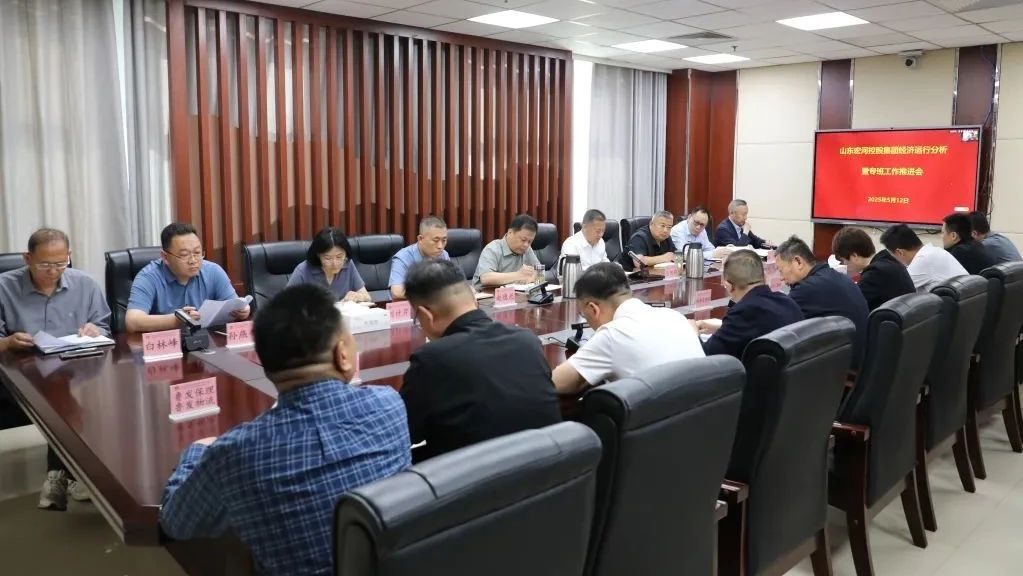 锚定目标再发力 攻坚克难促落实——宏河集团召开经营运行分析暨专班工作推进会议