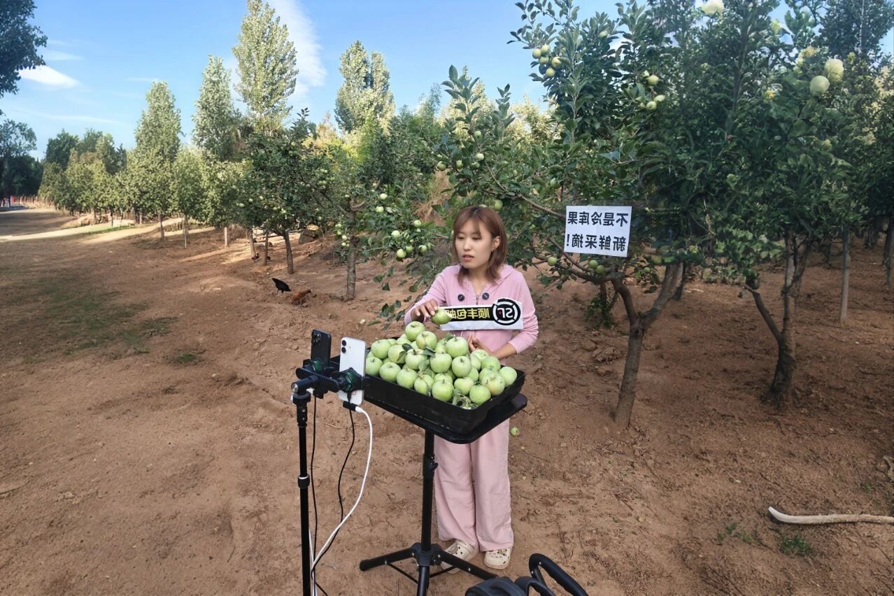 决战四季度，圣家乐购双十一全域发力促增长2