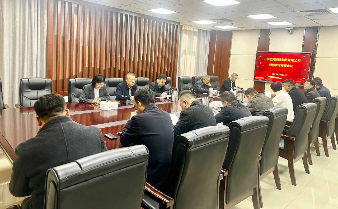 对标先进明方向 实干笃行促提升 ——宏河集团召开对标学习专题会议部署重点工作